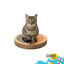 Summer Vibes - Griffoir Orange avec Herbe &agrave; Chat - 38cm Indicateur image num&eacute;ro 1