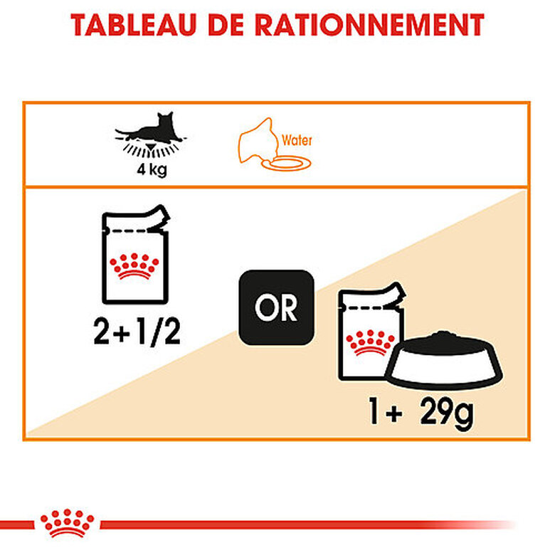 Royal Canin - Sachets Intense Beauty en Sauce pour Chat - 12x85g image number null
