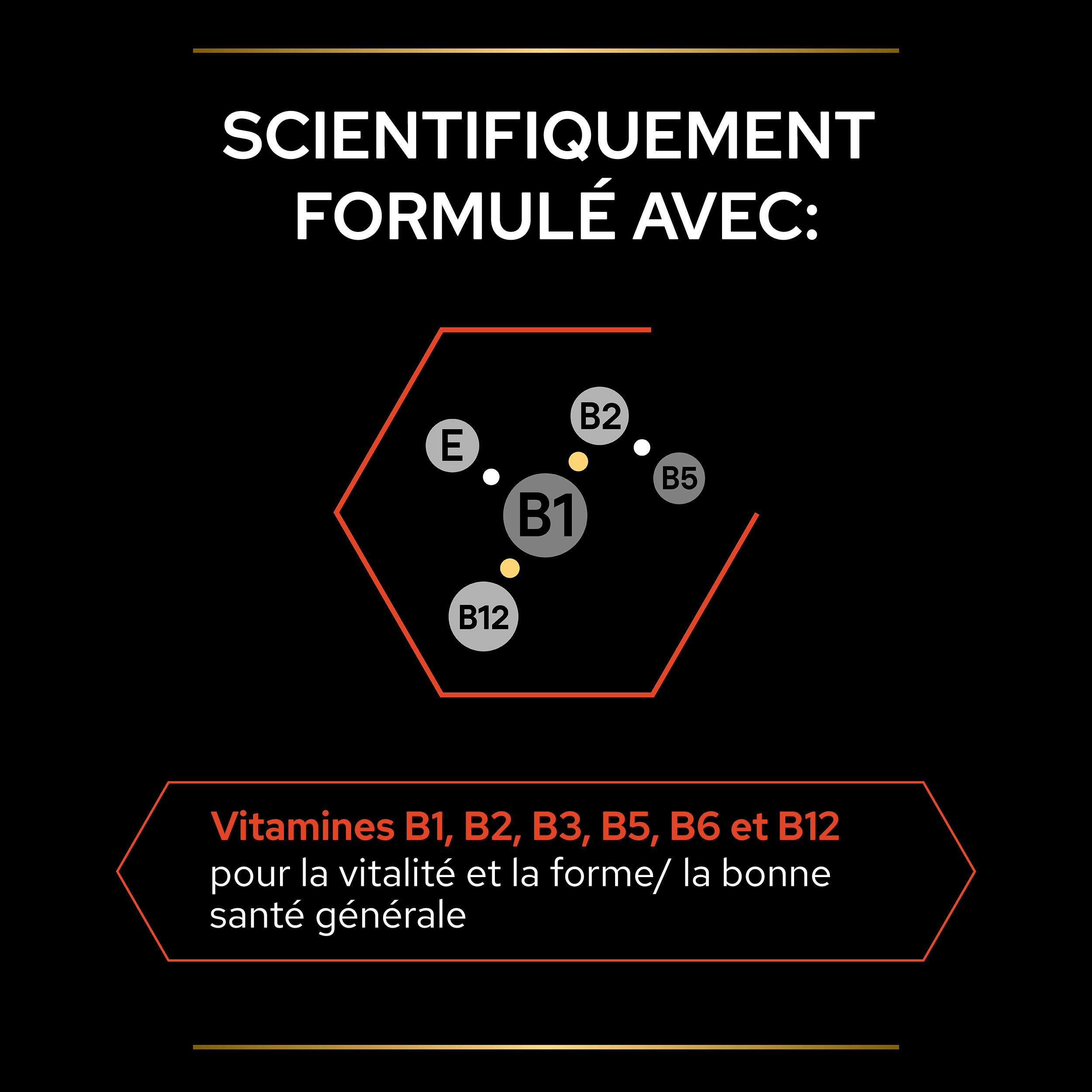 Pro Plan - Aliment Compl&eacute;mentaire en Comprim&eacute;s Multivitamins+ pour Chiens  - 67g Image num&eacute;ro 6