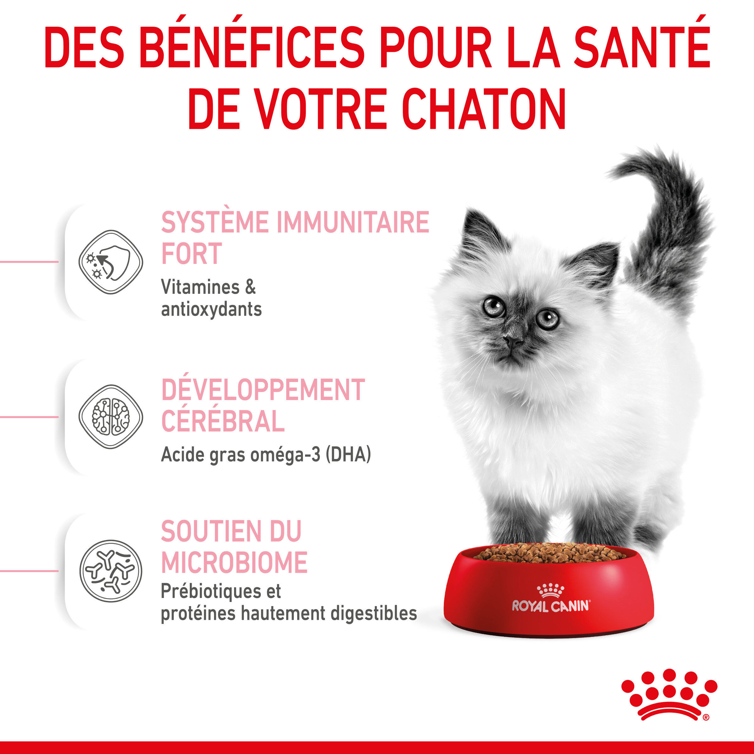 Royal Canin - Croquettes Kitten pour Chaton - 2Kg Image num&eacute;ro 4