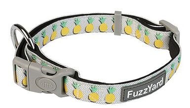 FuzzYard - Collier Piña Colada pour Chien - M