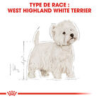 Royal Canin - Croquettes Westie Adult pour Chiens - 1,5Kg image number null