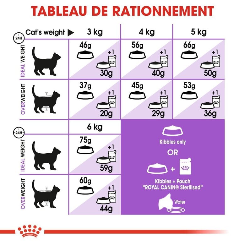 Royal Canin - Croquettes Sterilised 7+ pour Chat Senior - 3,5Kg Image numéro 6 Royal Canin - Croquettes Sterilised 7+ pour Chat Senior - 3,5Kg Image numéro 6