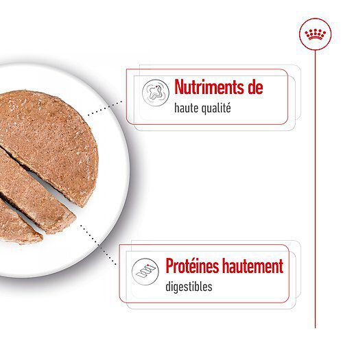 Royal Canin - P&acirc;t&eacute;e en Mousse Maxi Adult L - 410g Image num&eacute;ro 4
