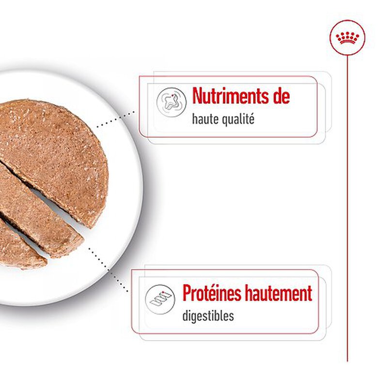 Royal Canin - Pâtée en Mousse Maxi Adult L - 410g Image numéro 4 Royal Canin - Pâtée en Mousse Maxi Adult L - 410g Image numéro 4