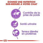 Royal Canin - Croquettes Sterilised 37 pour Chat - 2Kg image number null