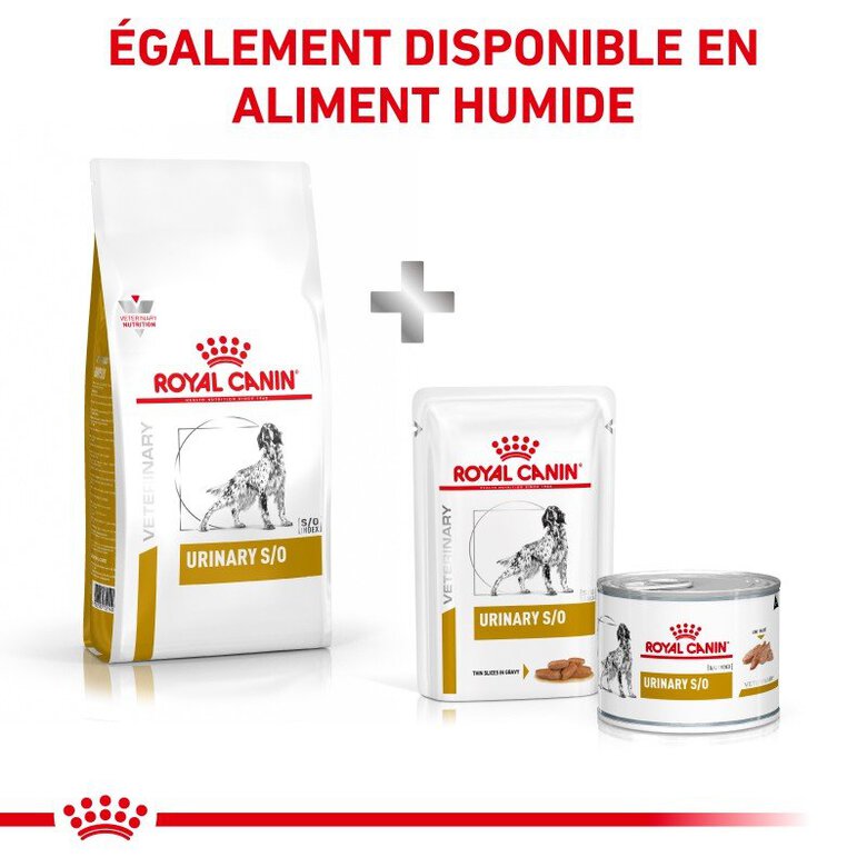 Royal Canin - Croquettes Veterinary Diet Urinary S/O pour Chien - 2Kg image number null