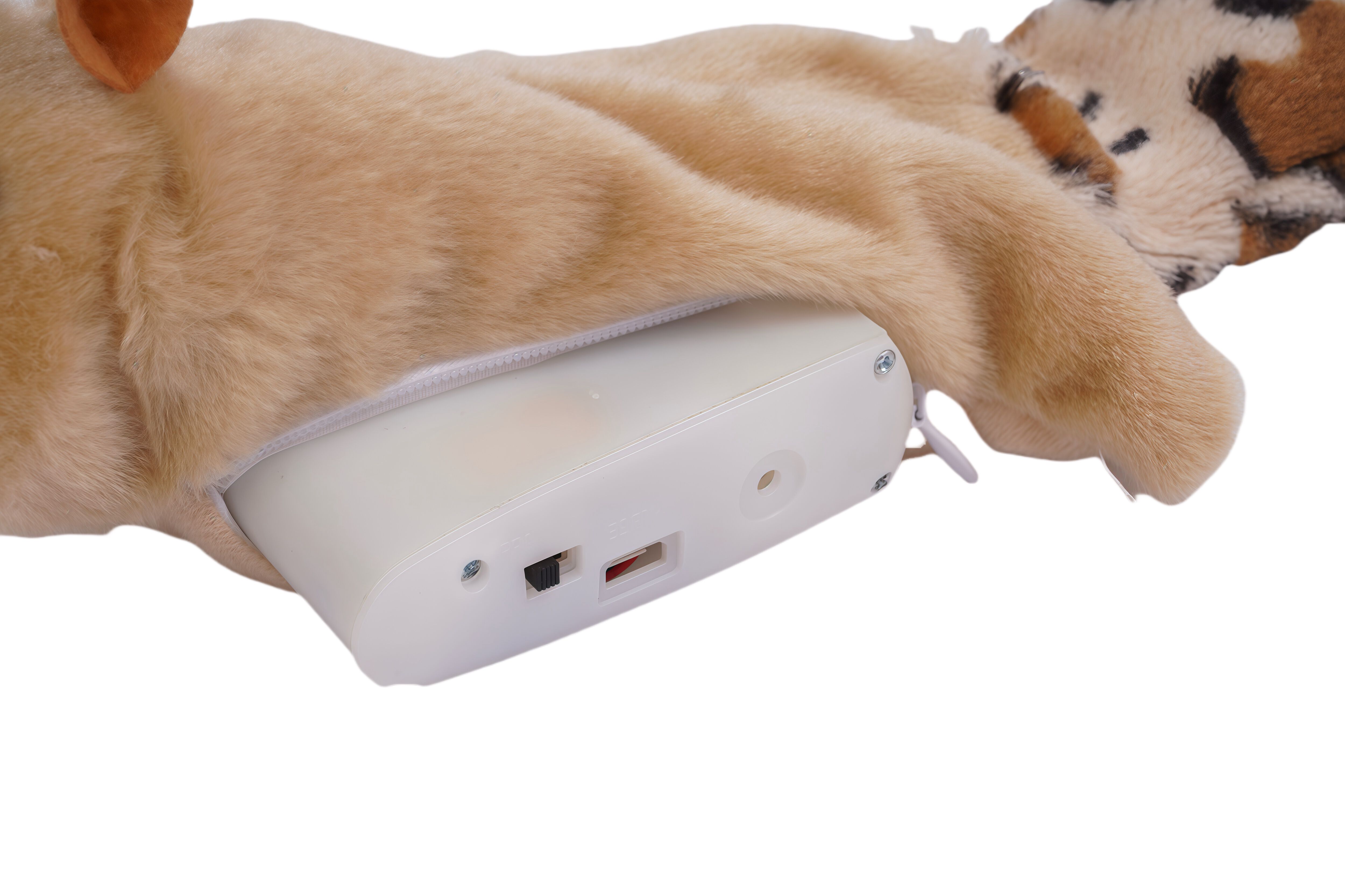 Tootoy! - Jouet Peluche Skinneeez Ecureuil Interactif - Beige Image num&eacute;ro 3