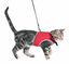 Trixie - Harnais Doux et Laisse de 1,20m pour Chat - 24/42cm Indicateur image numéro 2