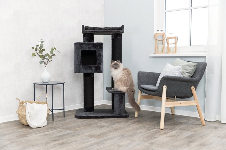 Trixie - Arbre à Chat XXL Izan Anthracite pour Chat - 122cm Image numéro 7 Trixie - Arbre à Chat XXL Izan Anthracite pour Chat - 122cm Image numéro 7