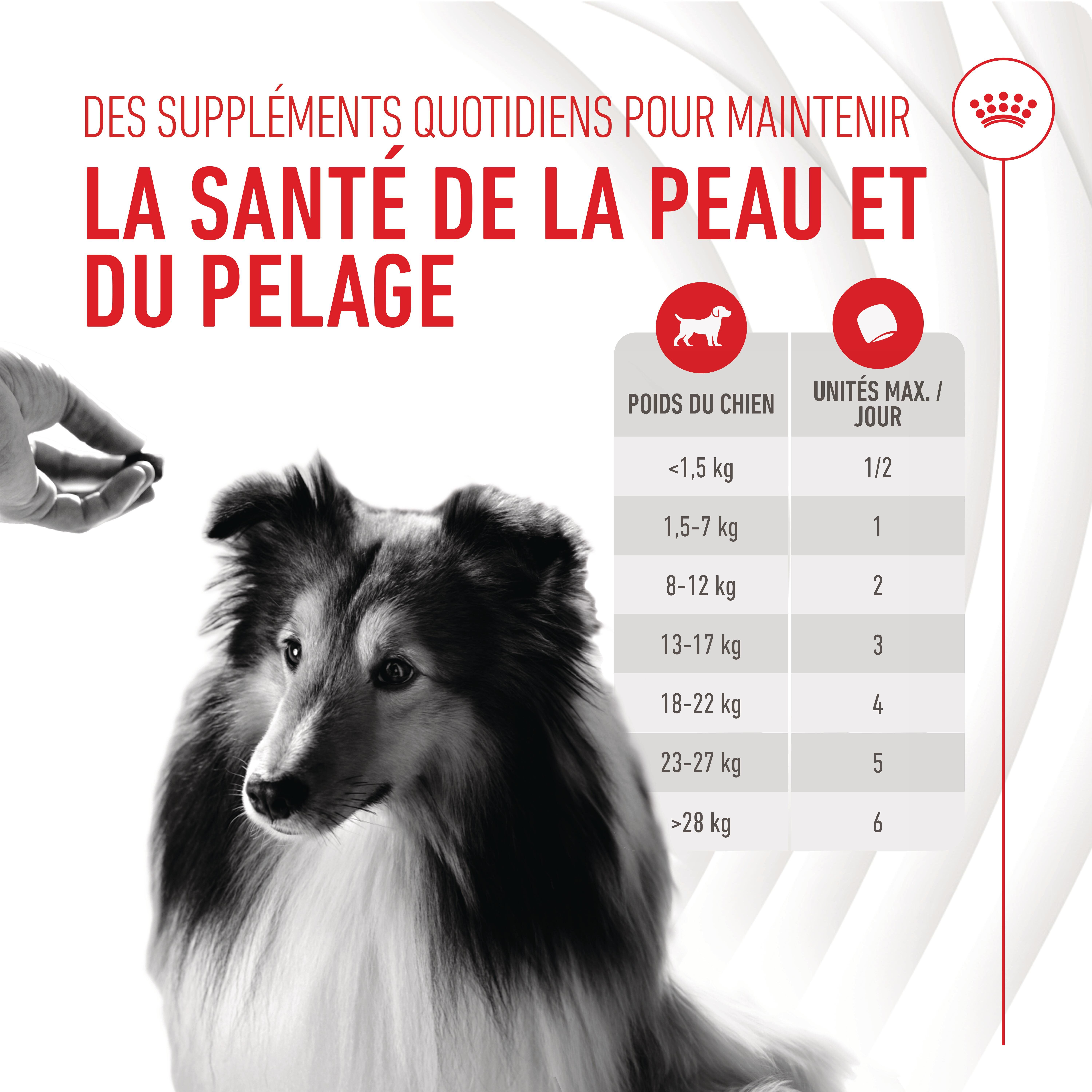 Royal Canin - Aliment Compl&eacute;mentaire Adult Skin & Coat Chews pour Chiens - 240g Image num&eacute;ro 5