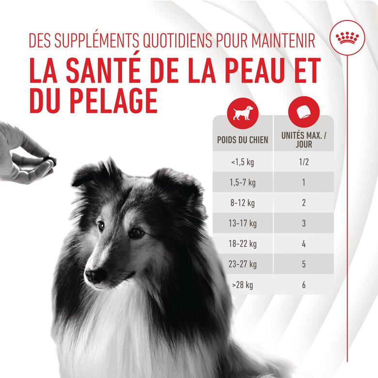 Royal Canin - Aliment Complémentaire Adult Skin & Coat Chews pour Chiens - 240g Image numéro 5 Royal Canin - Aliment Complémentaire Adult Skin & Coat Chews pour Chiens - 240g Image numéro 5