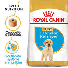 Royal Canin - Croquettes Puppy Labrador Retriever pour Chiots - 3Kg image number null