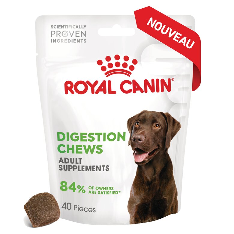 Royal Canin - Aliment Complémentaire Adult Digestion Chews pour Chiens - 160g Image numéro 2 Royal Canin - Aliment Complémentaire Adult Digestion Chews pour Chiens - 160g Image numéro 2