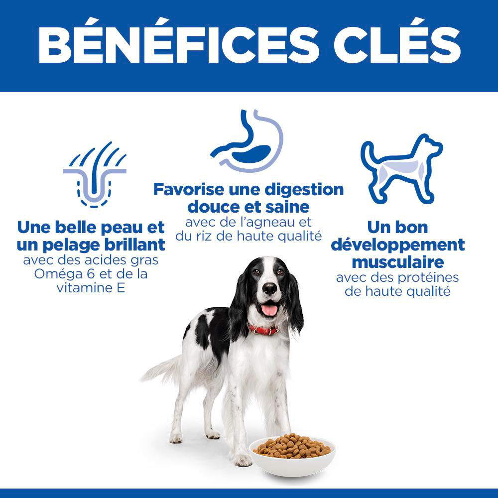 Hill's Science Plan - Adult Croquettes Pour Chien A L'agneau Et Riz  - 12kg Image num&eacute;ro 7