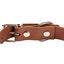Gotoo - Collier Premium Biotane Marron pour Chien - S Indicateur image numéro 2