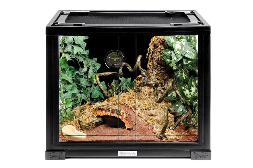 Animalis - Kit Gecko - 50cm Image num&eacute;ro 4