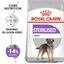Royal Canin - Croquettes Mini Sterilised pour Chien - 3Kg Indicateur image num&eacute;ro 1