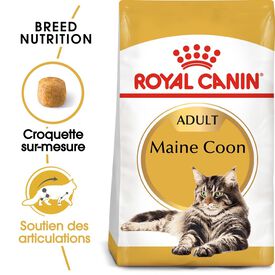 Royal Canin - Croquettes Maine Coon pour Chat Adulte - 4Kg