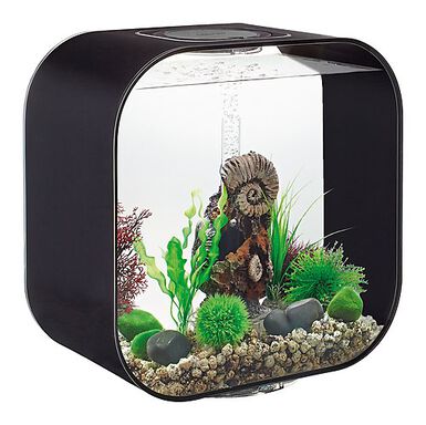biOrb - Aquarium Life 30 mcr noir