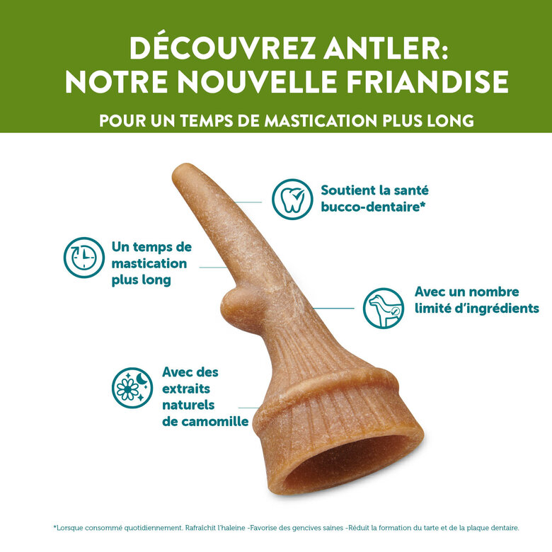 Whimzees - Sachet Antler  - S 24 Pcs Image numéro 7 Whimzees - Sachet Antler  - S 24 Pcs Image numéro 7