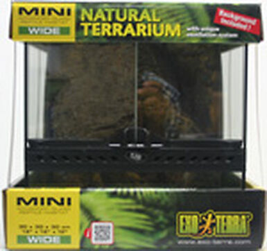 Exo Terra - Terrarium en Verre pour Reptile - 30x30x30cm