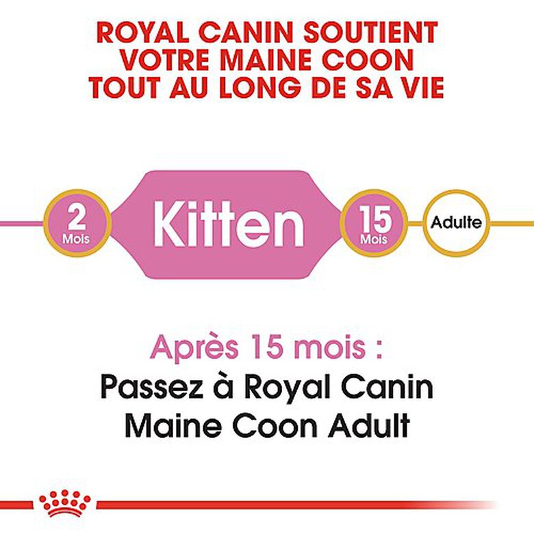 Royal Canin - Croquettes Maine Coon pour Chaton - 2Kg image number null