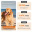 Weenect - Traceur GPS L/XL Edition 2023 pour Chiens - Noir Indicateur image numéro 6