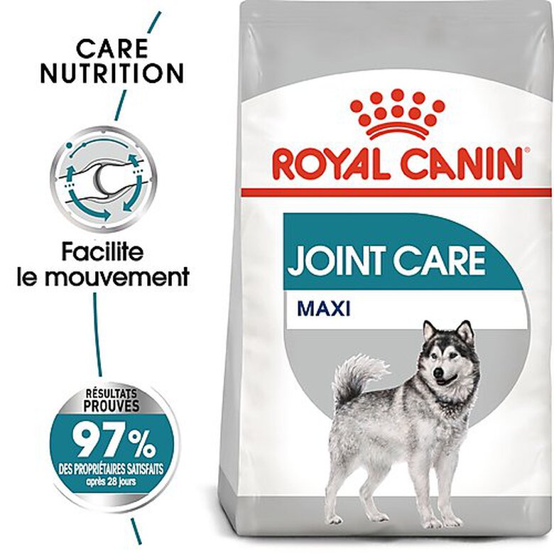 Royal Canin - Croquettes Maxi Joint Care pour Chien - 10Kg image number null