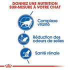 Royal Canin - Croquettes Indoor 7+ pour Chat Senior - 1,5Kg image number null