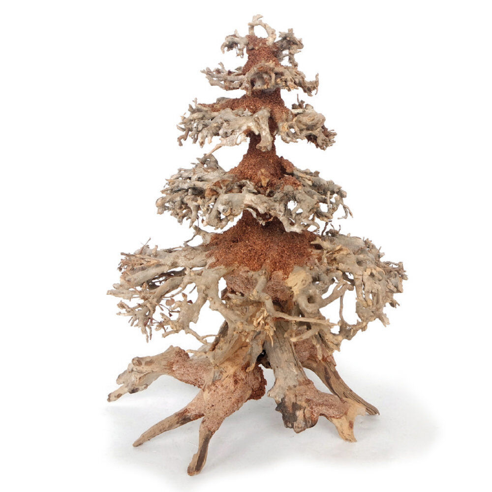 Amtra -  Racine Naturelle Oriental Wind 8 - M Image num&eacute;ro 1