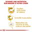 Royal Canin - Croquettes Teckel pour Chien Adulte - 1,5Kg Indicateur image numéro 3