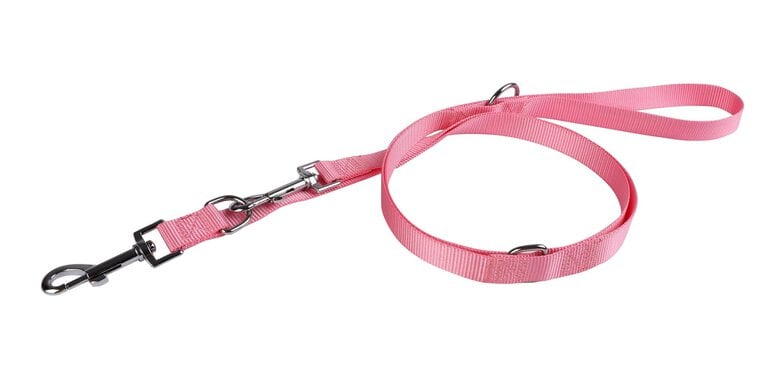 Animalis - Laisse Multifonction Basic 20mm et 200cm pour Chien - Rose Image numéro 1 Animalis - Laisse Multifonction Basic 20mm et 200cm pour Chien - Rose Image numéro 1
