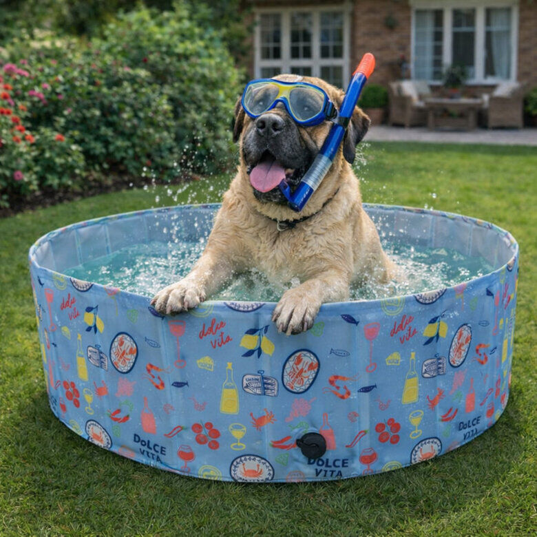 Summer Vibes - Piscine Motifs Dolce Vita pour Chiens - L Image num&eacute;ro 4