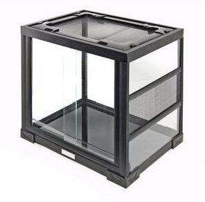 Animalis - Kit Gecko - 50cm Image num&eacute;ro 3