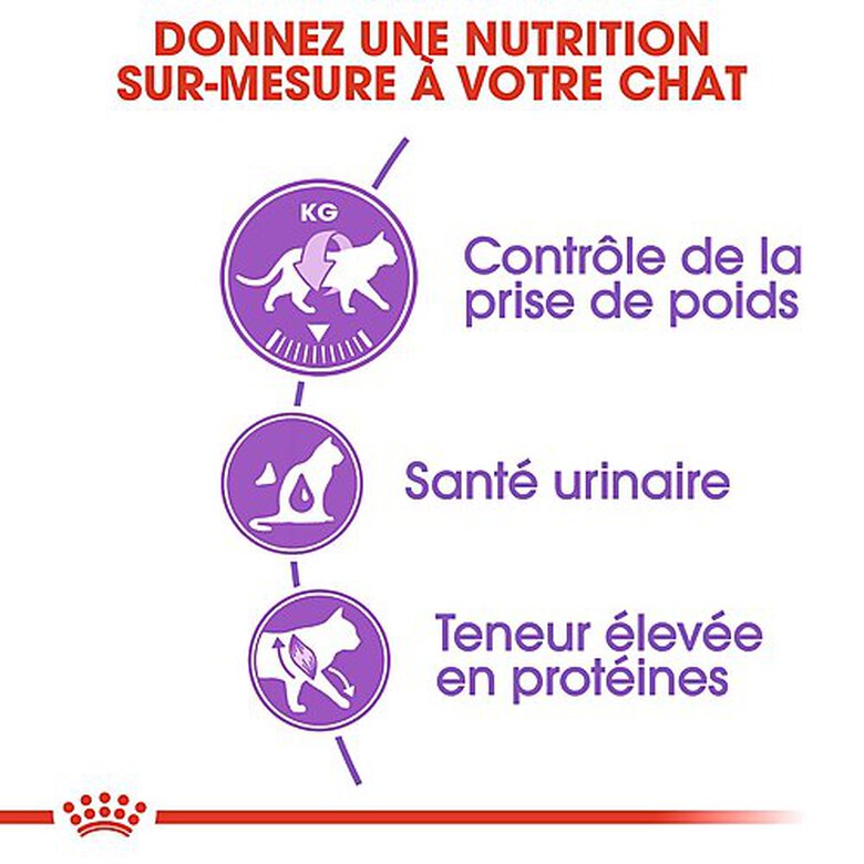 Royal Canin - Croquettes Sterilised 37 pour Chat - 4Kg image number null