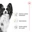 Royal Canin - Croquettes X Small Adult pour Petits Chiens - 3Kg Indicateur image num&eacute;ro 11