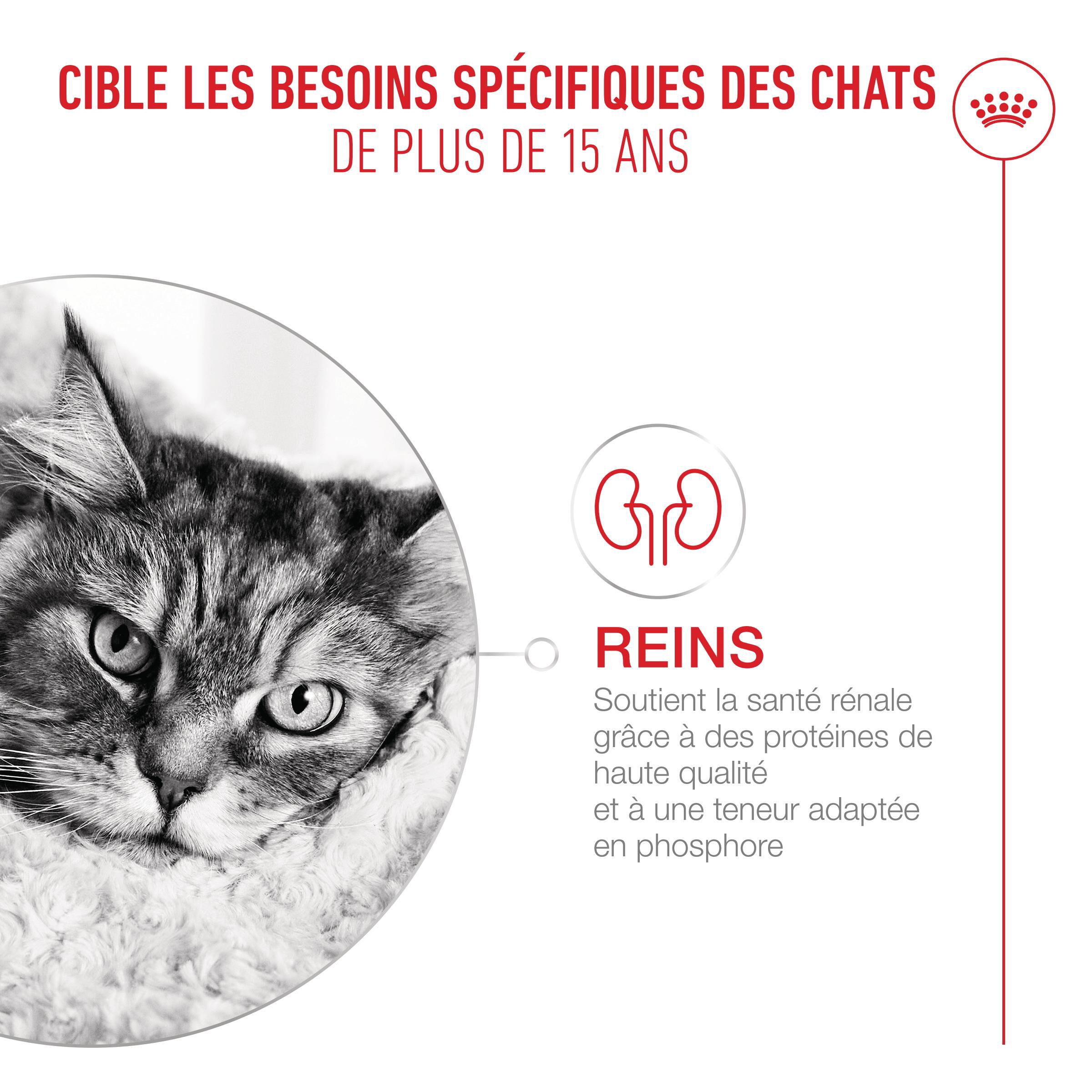 Royal Canin - Croquettes Ageing 15+ pour Chats Senior - 400g Image num&eacute;ro 4
