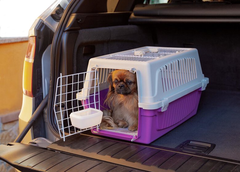 Ferplast - Panier de Transport Atlas 20 Open Image numéro 1 Ferplast - Panier de Transport Atlas 20 Open Image numéro 1