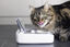 Sure PetCare - Bol Hermétique SureFeed pour Chat Indicateur image numéro 3