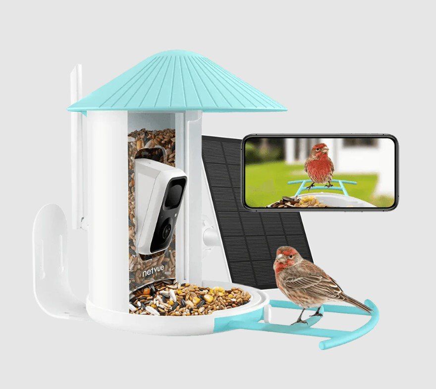 Birdfy -  Mangeoire Intelligente Avec Cam&eacute;ra pour Oiseaux Image num&eacute;ro 1