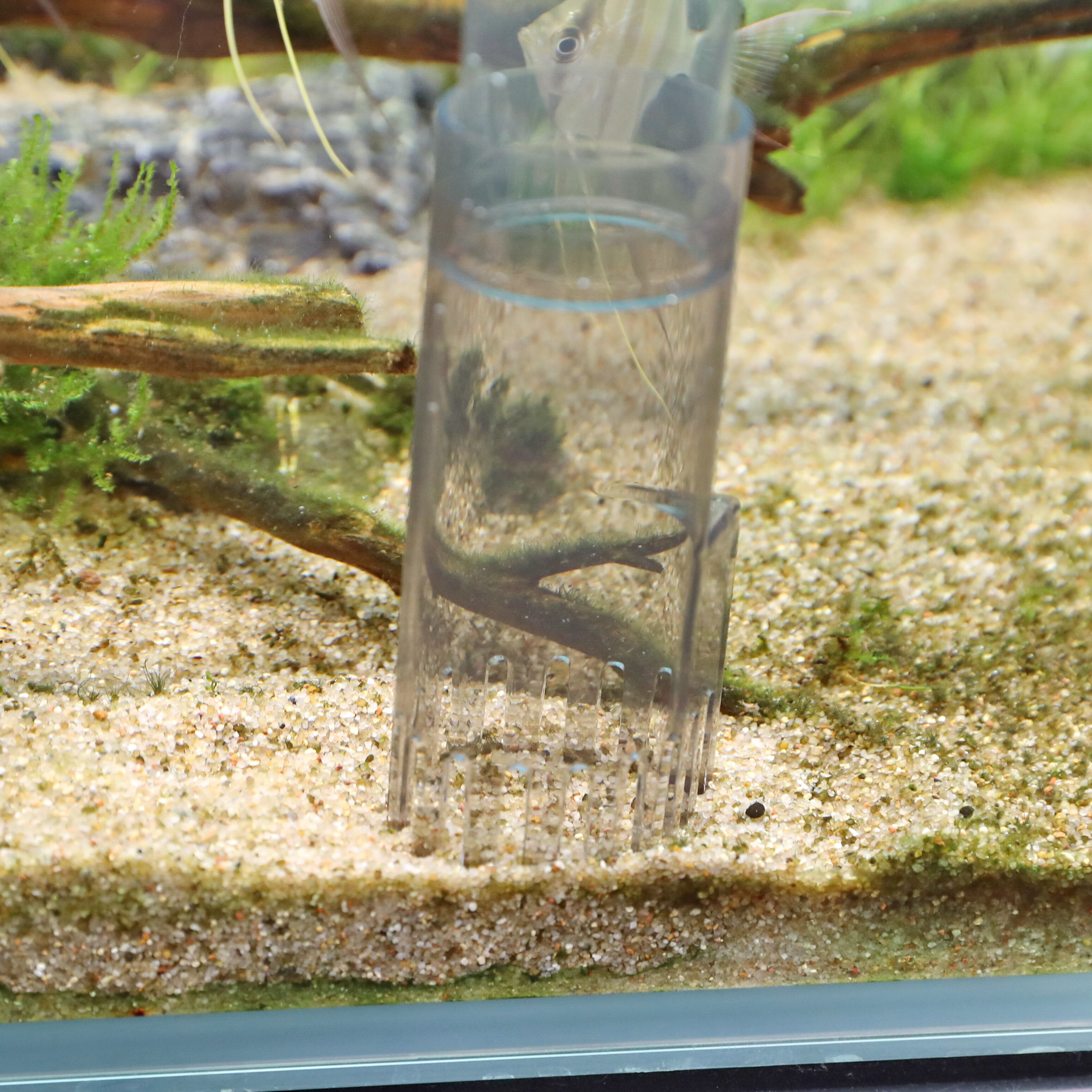 JBL - Kit Changement d'Eau Proclean Aqua In-Out pour Aquarium Image num&eacute;ro 9