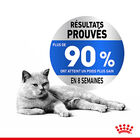 Royal Canin - Sachets Fraicheur Light Weight Care en Mousse pour Chat - 12x85g image number null