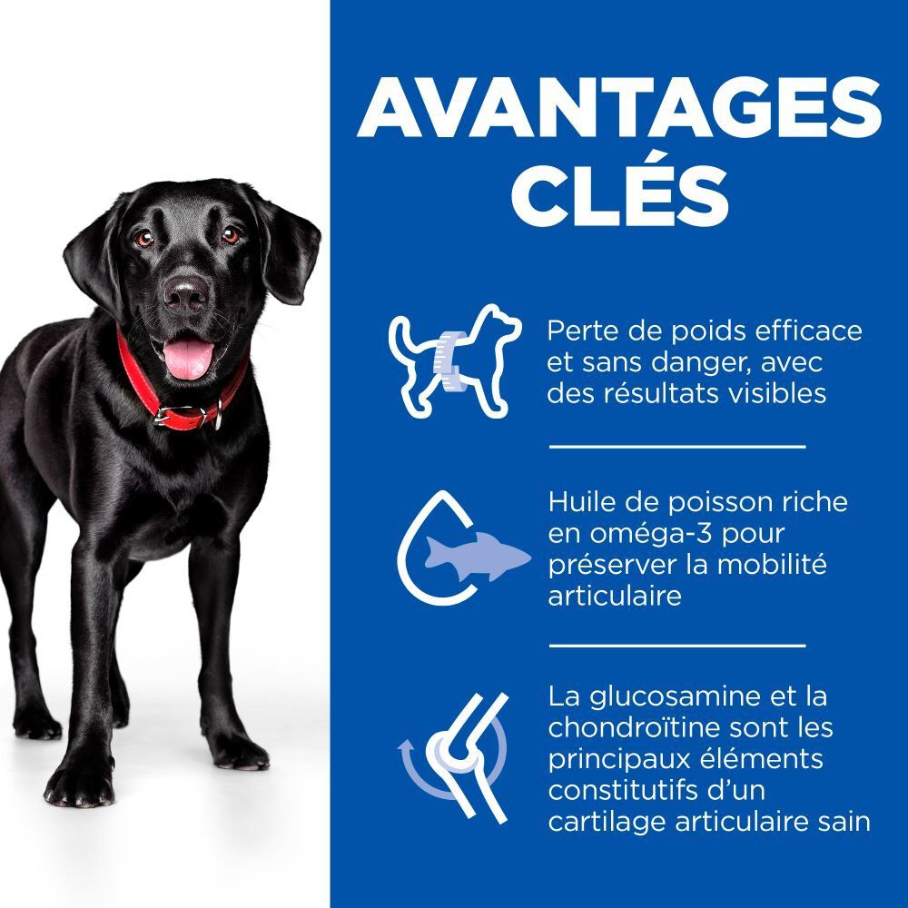Hill's Science Plan - Perfect Weight & Active Mobility Croquettes Chien Adulte Grande Race Poulet -12kg Image num&eacute;ro 3