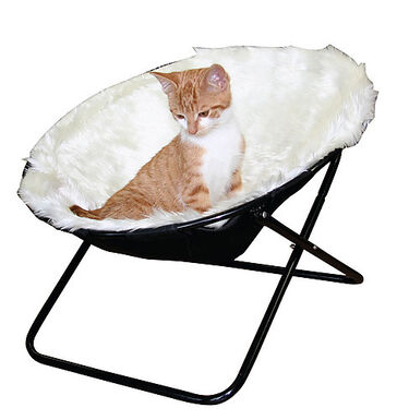 Kerbl - Fauteuil Pliant Sharon Blanc pour Chats - 50cm