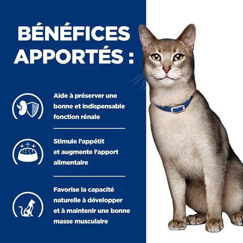 Hill's - Croquettes Prescription Diet K/D Kidney Care au Thon pour Chats - 3Kg Image num&eacute;ro 3