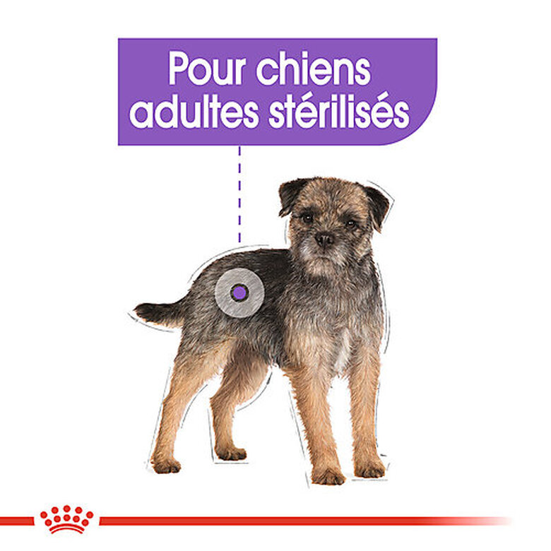 Royal Canin - Sachets Sterilised en Mousse pour Chien - 12X85g image number null
