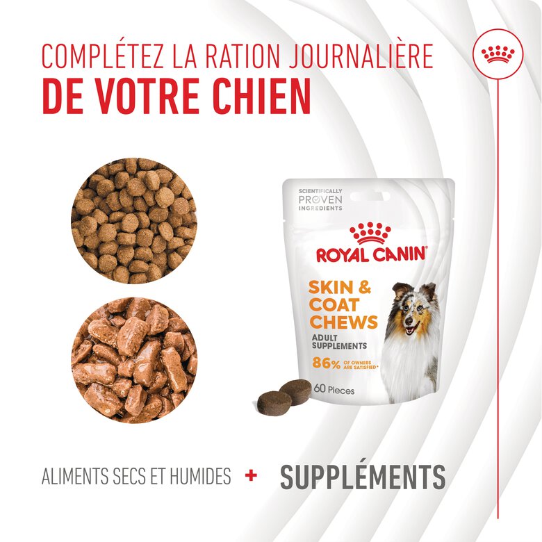 Royal Canin - Aliment Complémentaire Adult Skin & Coat Chews pour Chiens - 240g Image numéro 6 Royal Canin - Aliment Complémentaire Adult Skin & Coat Chews pour Chiens - 240g Image numéro 6