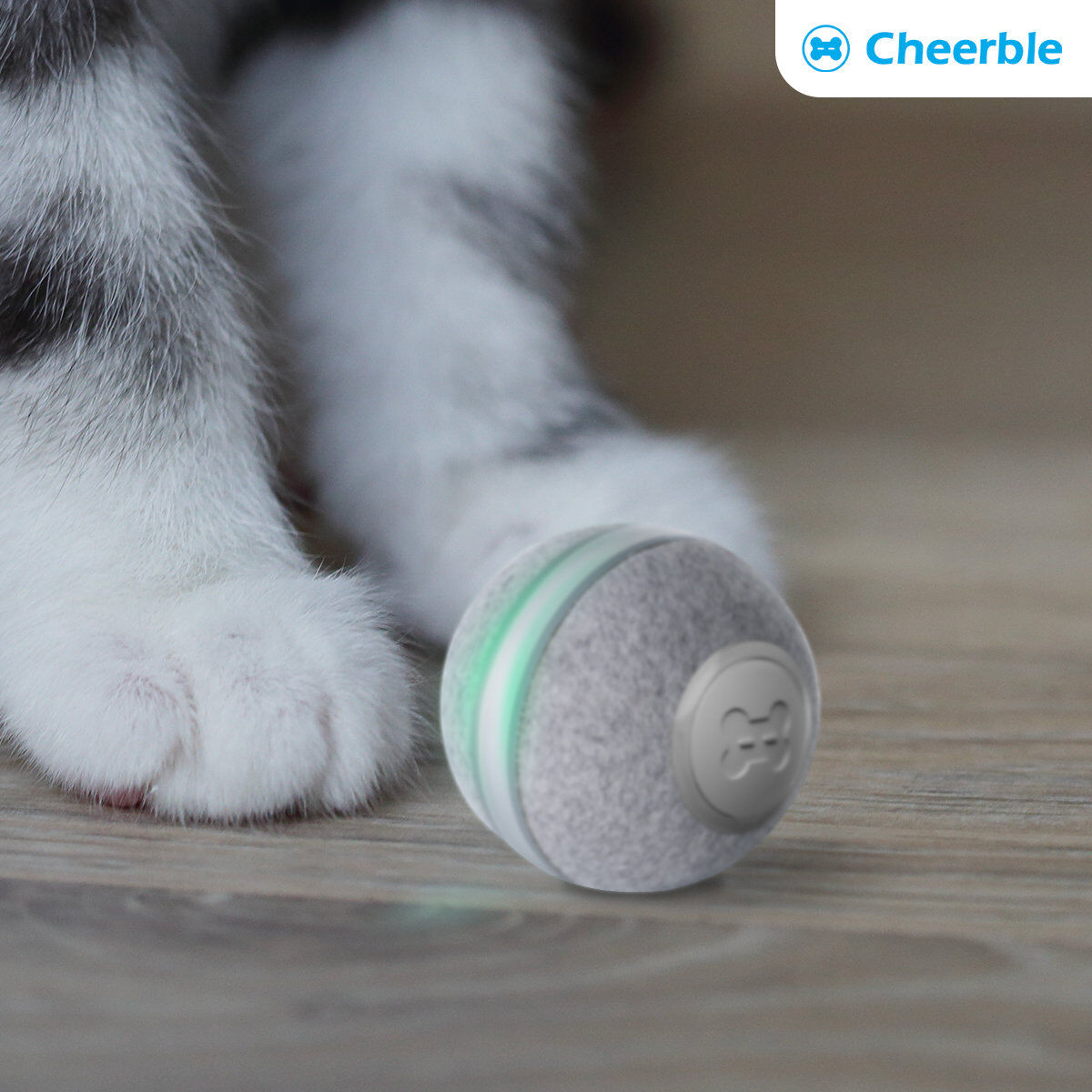 Cheerble - Balle Auto-Roulante Cheerble Ball pour Chats - Gris Image num&eacute;ro 4