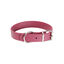 Gotoo - Collier Premium Biotane Bordeaux pour Chien - S Indicateur image numéro 1
